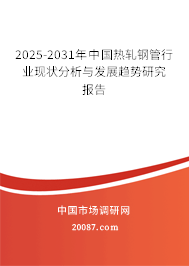 2025-2031年中国热轧钢管行业现状分析与发展趋势研究报告 2025-2031年中国热轧钢管行业现状分析与发展趋势研究报告
