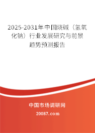 2025-2031年中国烧碱(氢氧化钠)行业发展研究与前景趋势预测报告 2025-2031年中国烧碱(氢氧化钠)行业发展研究与前景趋势预测报告