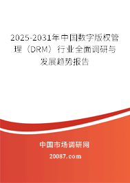 2025-2031年中国数字版权管理(DRM)行业全面调研与发展趋势报告 2025-2031年中国数字版权管理(DRM)行业全面调研与发展趋势报告