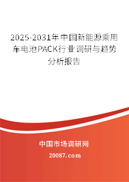 2025-2031年中国新能源乘用车电池PACK行业调研与趋势分析报告