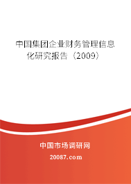 中国集团企业财务管理信息化研究报告（2009）