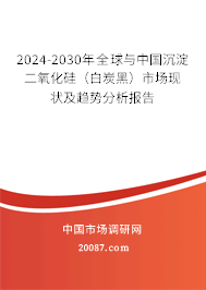 2024-2030年全球与中国沉淀二氧化硅（白炭黑）市场现状及趋势分析报告