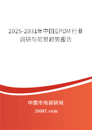 2025-2031年中国EPDM行业调研与前景趋势报告