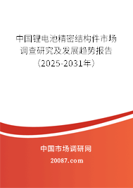 中国锂电池精密结构件市场调查研究及发展趋势报告（2025-2031年）