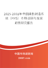 2025-2031年中国柔性制造系统（FMS）市场调研与发展趋势研究报告