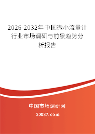 2026-2032年中国微小流量计行业市场调研与前景趋势分析报告