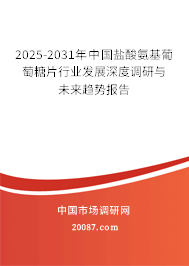 2025-2031年中国盐酸氨基葡萄糖片行业发展深度调研与未来趋势报告 2025-2031年中国盐酸氨基葡萄糖片行业发展深度调研与未来趋势报告