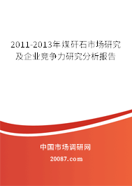 2011-2013年煤矸石市场研究及企业竞争力研究分析报告