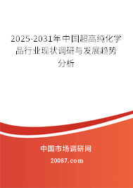 2025-2031年中国超高纯化学品行业现状调研与发展趋势分析 2025-2031年中国超高纯化学品行业现状调研与发展趋势分析