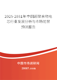 2025-2031年中国超聚合物电芯行业发展分析与市场前景预测报告
