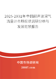 2025-2031年中国超声波沼气流量计市场现状调研分析与发展前景报告