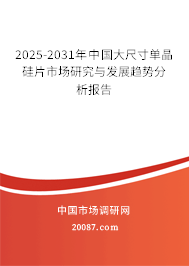 2025-2031年中国大尺寸单晶硅片市场研究与发展趋势分析报告 2025-2031年中国大尺寸单晶硅片市场研究与发展趋势分析报告