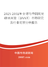 2025-2031年全球与中国氮化硼纳米管（BNNT）市场研究及行业前景分析报告