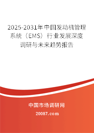 2025-2031年中国发动机管理系统（EMS）行业发展深度调研与未来趋势报告