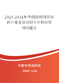 2025-2031年中国管理财务软件行业发展调研与市场前景预测报告