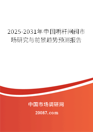 2025-2031年中国明杆闸阀市场研究与前景趋势预测报告