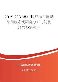 2025-2031年中国双向拉伸聚酯薄膜市场研究分析与前景趋势预测报告