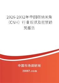 2026-2032年中国碳纳米角（CNH）行业现状及前景趋势报告