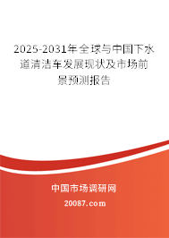2025-2031年全球与中国下水道清洁车发展现状及市场前景预测报告