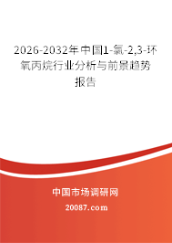 2026-2032年中国1-氯-2,3-环氧丙烷行业分析与前景趋势报告 2026-2032年中国1-氯-2,3-环氧丙烷行业分析与前景趋势报告