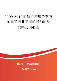 2009-2012年新经济形势下汽车电子行业发展前景预测及战略咨询报告