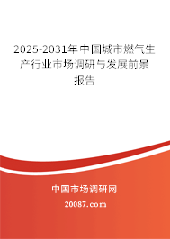2025-2031年中国城市燃气生产行业市场调研与发展前景报告