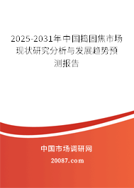 2025-2031年中国捣固焦市场现状研究分析与发展趋势预测报告