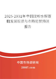 2025-2031年中国淀粉水解寡糖发展现状与市场前景预测报告 2025-2031年中国淀粉水解寡糖发展现状与市场前景预测报告
