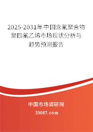 2024-2030年中国含氟聚合物聚四氟乙烯市场现状分析与趋势预测报告