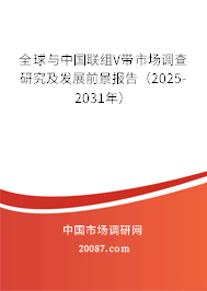 全球与中国联组V带市场调查研究及发展前景报告(2025-2031年) 全球与中国联组V带市场调查研究及发展前景报告(2025-2031年)