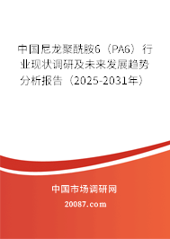 中国尼龙聚酰胺6(PA6)行业现状调研及未来发展趋势分析报告(2025-2031年) 中国尼龙聚酰胺6(PA6)行业现状调研及未来发展趋势分析报告(2025-2031年)