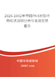 2026-2032年中国PA 6树脂市场现状调研分析与发展前景报告