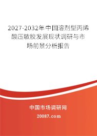 2027-2032年中国溶剂型丙烯酸压敏胶发展现状调研与市场前景分析报告