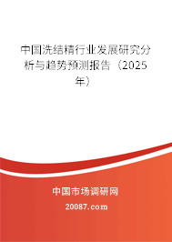 中国洗结精行业发展研究分析与趋势预测报告（2025年）