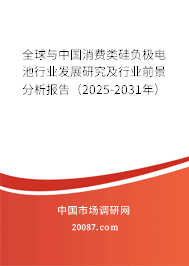 全球与中国消费类硅负极电池行业发展研究及行业前景分析报告（2025-2031年）
