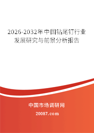 2026-2032年中国钻尾钉行业发展研究与前景分析报告