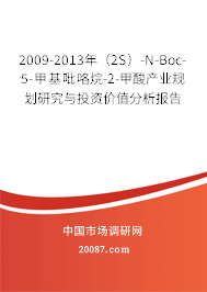 2009-2013年（2S）-N-Boc-5-甲基吡咯烷-2-甲酸产业规划研究与投资价值分析报告