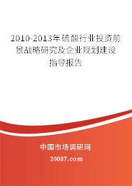 2010-2013年硫酸行业投资前景战略研究及企业规划建设指导报告