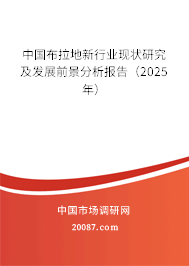 中国布拉地新行业现状研究及发展前景分析报告（2025年）