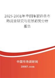 2025-2031年中国车窗饰条市场调查研究与前景趋势分析报告