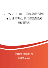 2025-2031年中国车辆控制单元行业市场分析与前景趋势预测报告 2025-2031年中国车辆控制单元行业市场分析与前景趋势预测报告