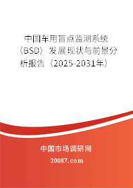 中国车用盲点监测系统（BSD）发展现状与前景分析报告（2025-2031年）