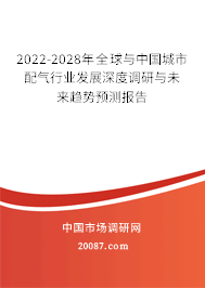 2022-2028年全球与中国城市配气行业发展深度调研与未来趋势预测报告 2022-2028年全球与中国城市配气行业发展深度调研与未来趋势预测报告