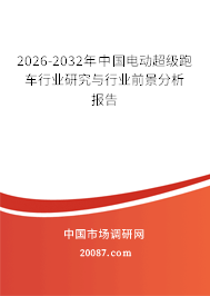 2026-2032年中国电动超级跑车行业研究与行业前景分析报告