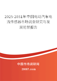 2025-2031年中国电动汽车电流传感器市场调查研究与发展前景报告