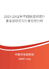 2025-2031年中国锻造钢球行业发展研究与行业前景分析