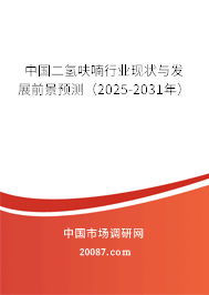 中国二氢呋喃行业现状与发展前景预测（2025-2031年）