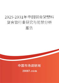 2025-2031年中国钢骨架塑料复合管行业研究与前景分析报告 2025-2031年中国钢骨架塑料复合管行业研究与前景分析报告