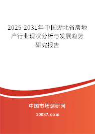 2025-2031年中国湖北省房地产行业现状分析与发展趋势研究报告