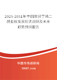 2025-2031年中国聚异丁烯二酰亚胺发展现状调研及未来趋势预测报告